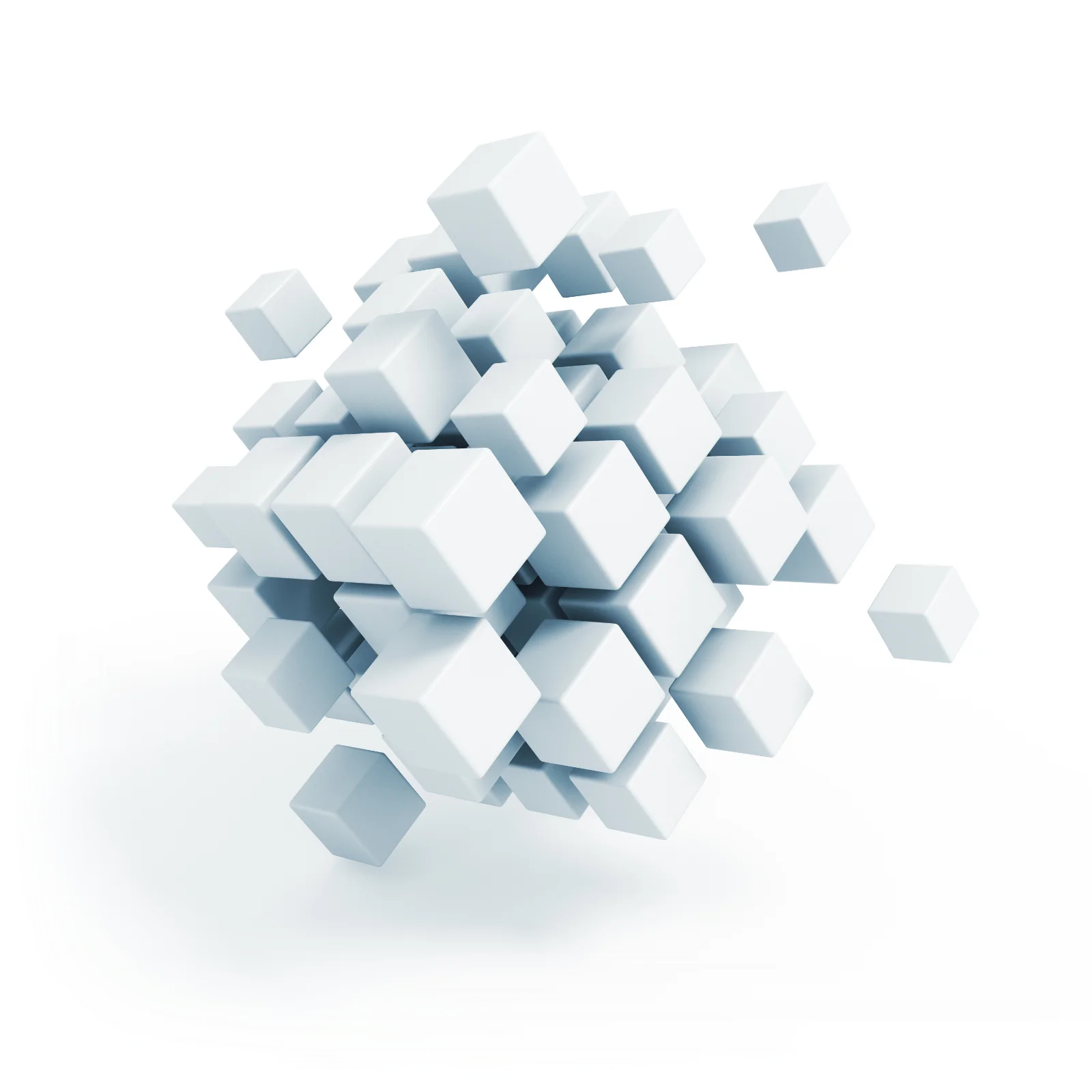 共に、楽しむ。